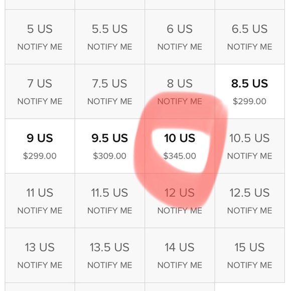 Jordan Retro 12 Utility - Picture 10 of 10